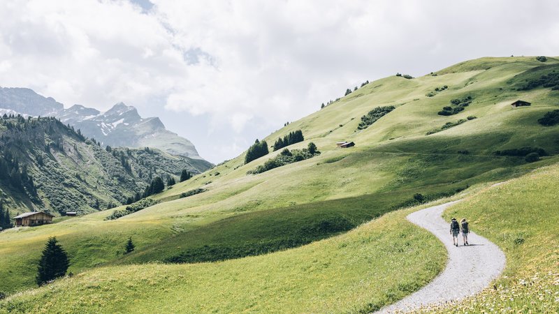 Zwei Wanderer auf einem Schotterweg in einer grünen Landschaft mit sanften Hügeln und Bergen im Hintergrund.